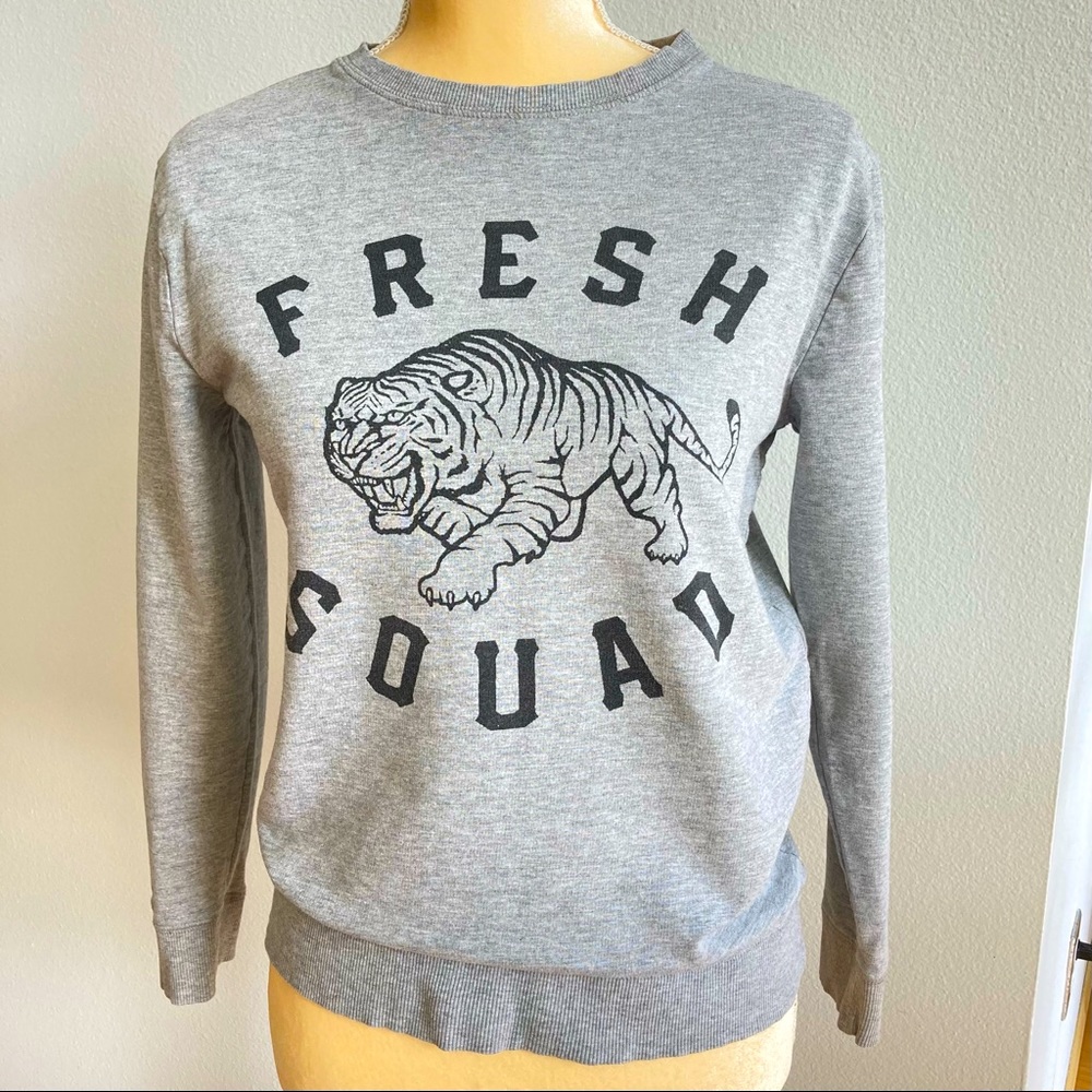 H&M Fresh Squad Tiger Gray Sweatshirt